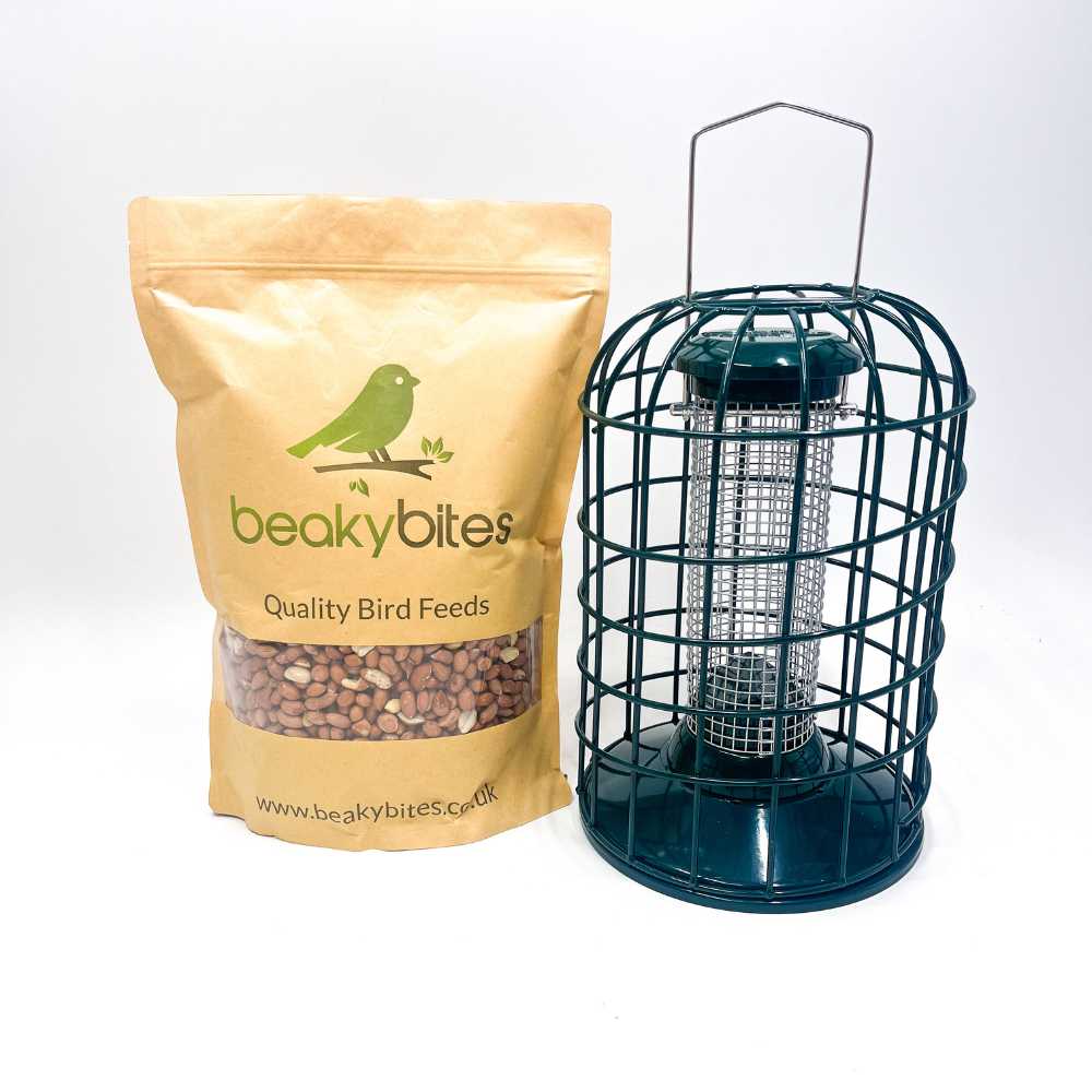 Guardian Feeder, with Free Bag of Peanuts